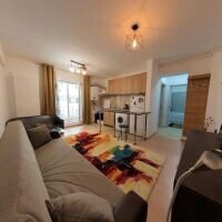 Calea Calarasilor Apartament in Vila